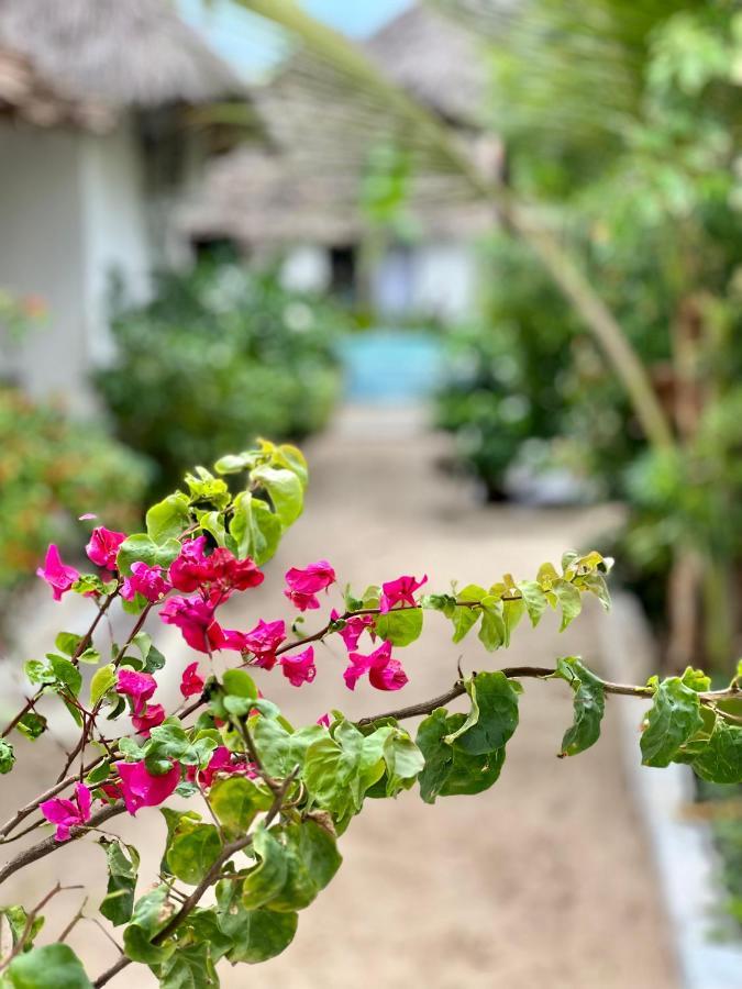 Jambiani White Sands Bungalows Eksteriør billede