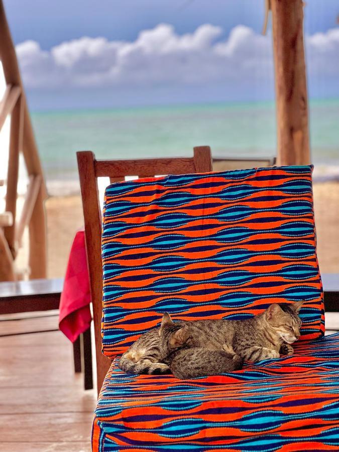 Jambiani White Sands Bungalows Eksteriør billede