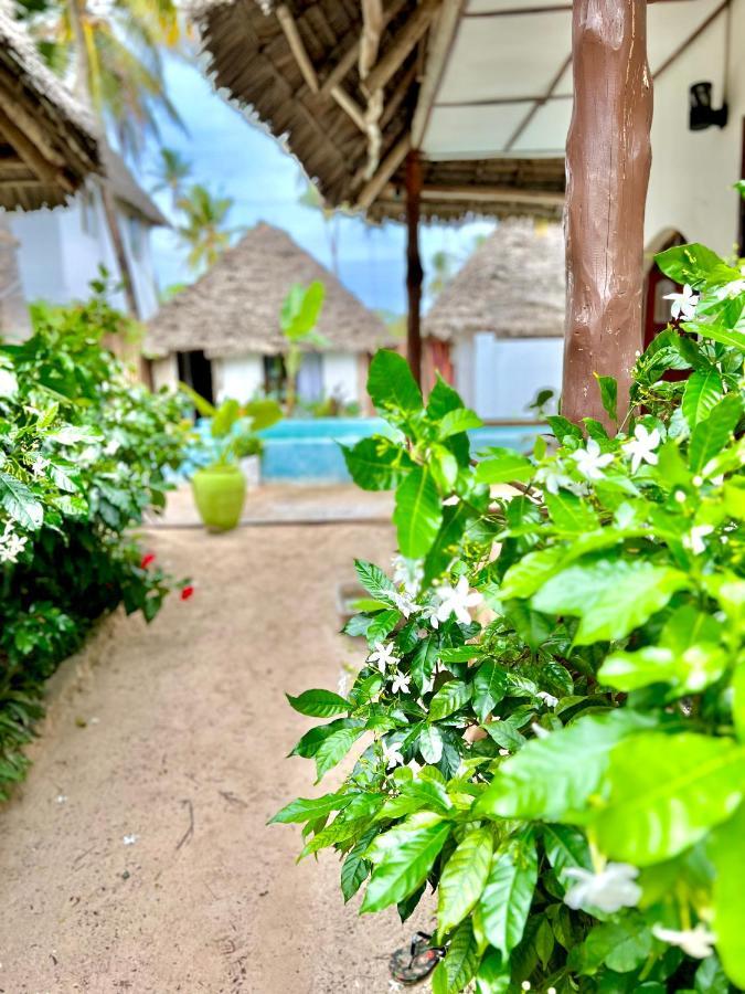 Jambiani White Sands Bungalows Eksteriør billede